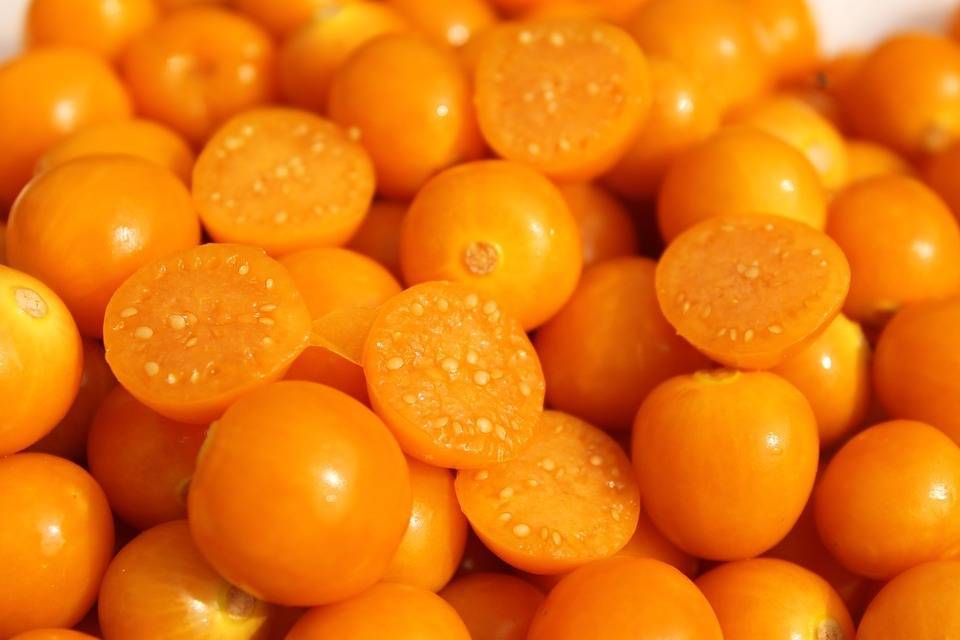 uchuva-1431389_960_720|physalis-1391711__340|physalis-1547799_960_720